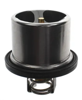 MAHLE Engine Coolant Thermostat - 11537836155