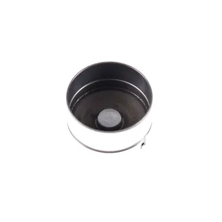 INA Engine Valve Lifter - 6010500825