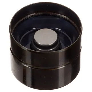 INA Engine Camshaft Follower - 038109309C