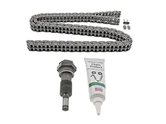 INA Timing Chain Kit - 5580050100