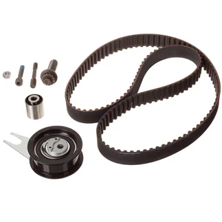 INA Engine Timing Belt Kit - 028198119B