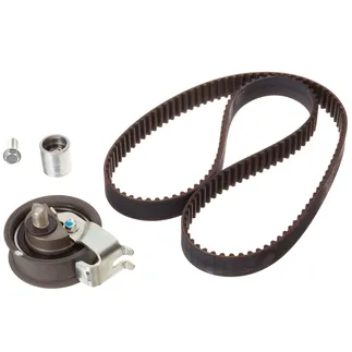 INA Engine Timing Belt Tensioner Kit - 06A198119B