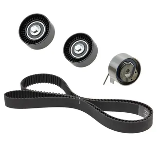 INA Timing Belt Kit - 5300456100