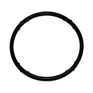 ElringKlinger Engine Coolant Inlet Flange Seal - 99970750240