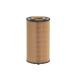 Hengst Engine Oil Filter - 079198405A