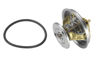 Wahler Engine Coolant Thermostat Kit - 1102000615