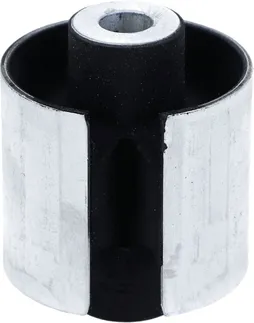 LEMFORDER Rear Lower Inner Forward Suspension Control Arm Bushing - 33321095287
