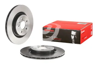 Brembo Rear Disc Brake Rotor - LR090699