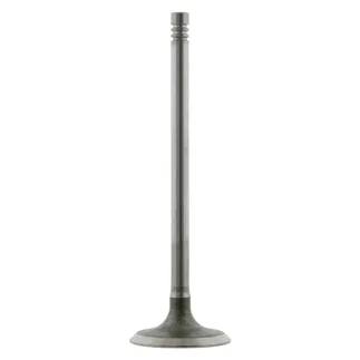 Febi Bilstein Engine Intake Valve - 11341438451