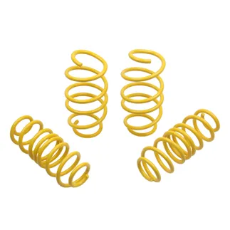 ST Suspension Lowering Springs For VW - 65822