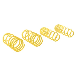 ST Suspension Lowering Springs For VW/Audi - 66249