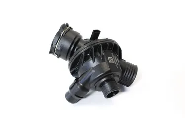 すず　0618 WALR_11537598865_1.jpeg