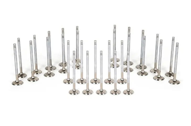 Ferrea Intake and Exhaust Valves Kit For Audi/VW 2.7T 30V FER27VTK3